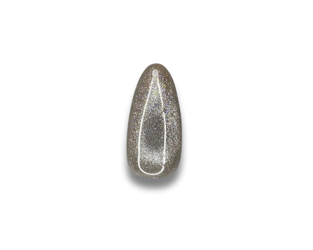 Silver Girl - faux ongles longs argentés