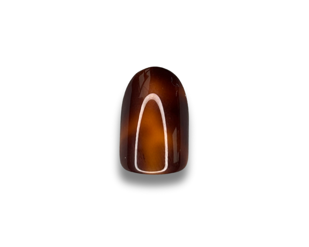 Turtoise Effect - Faux ongles Turtoise courts et ronds